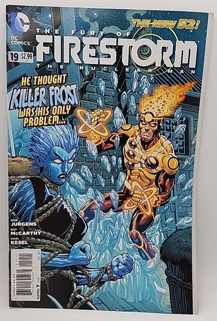 The Fury of Firestorm #19 New 52 1st Caitlin Snow Killer Frost DC 2013