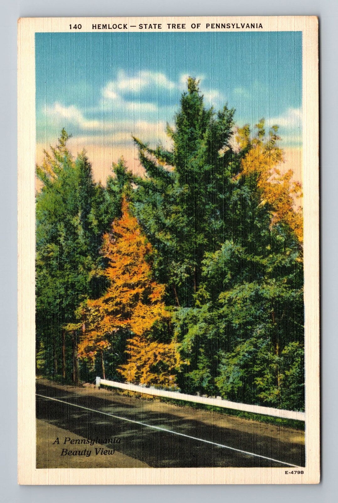 PA-Pennsylvania, Hemlock, State Tree, Scenic, Road, Vintage Postcard
