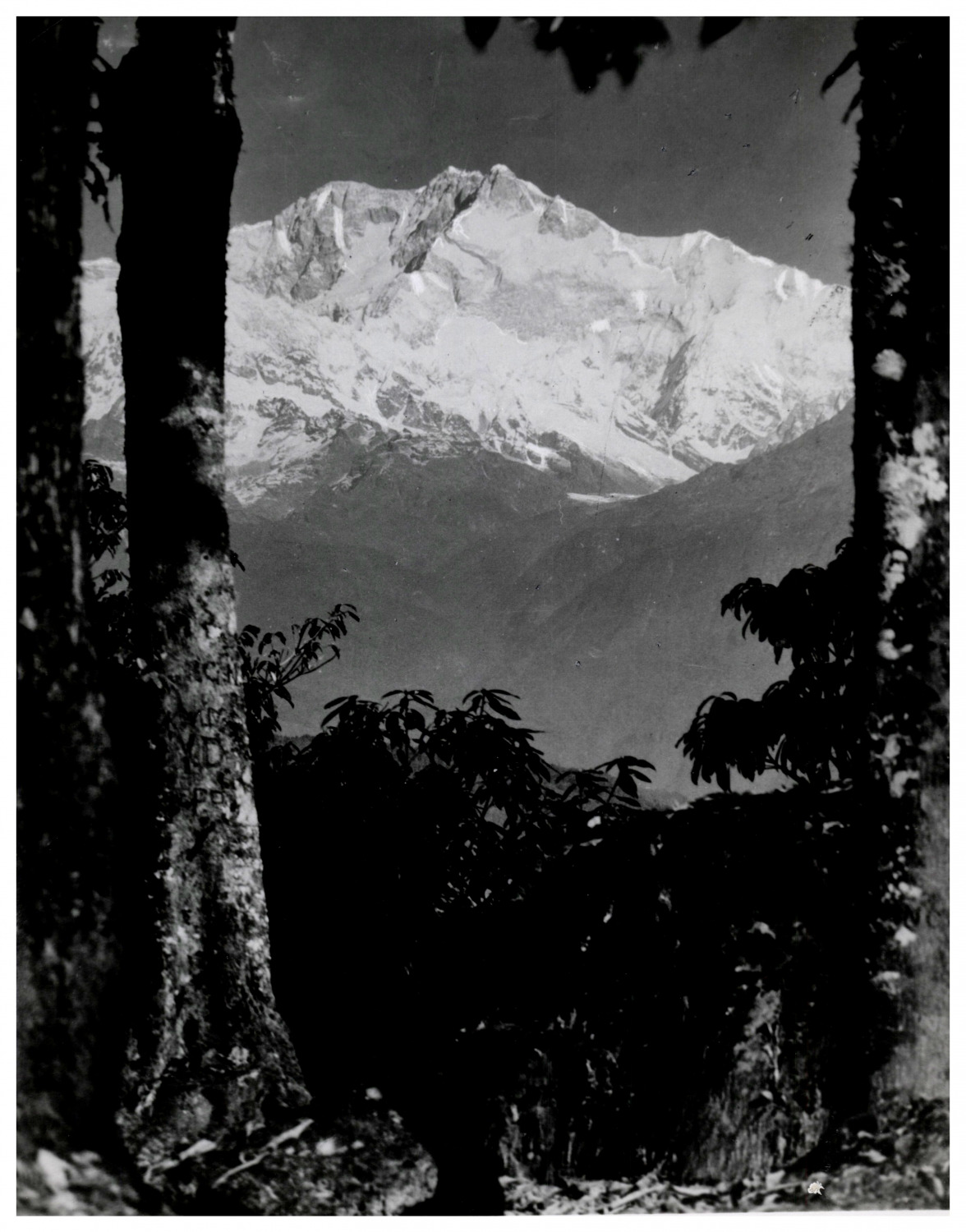 India, Darjeeling, le Kanchenjunga, vintage print, circa 1915 vintage print print print print