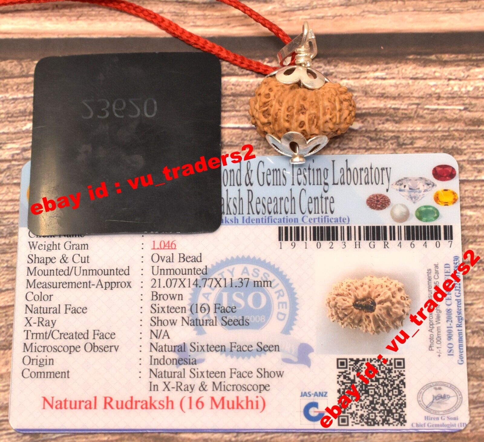 16 Mukhi Rudraksha / Sixteen Face Rudraksh Java Bead Lab Certified Size 21.07 MM