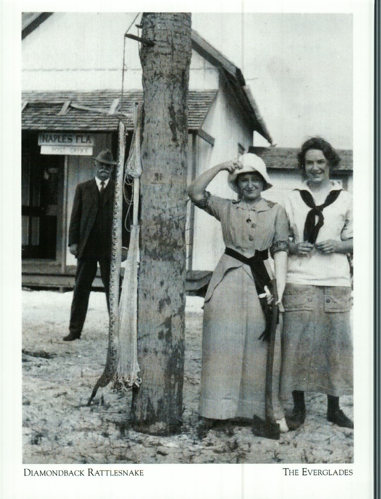 *Florida Postcard-