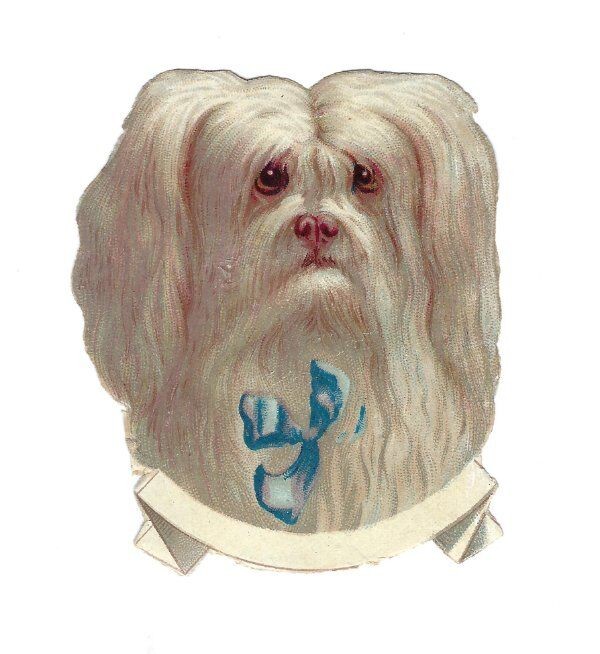 1888 Chromo, Victorian FLUFFY WHT DOG FACE BLUE BOW, Die-Cut Scrap 2.5\ 1888 Chromo, Victorian FLUFFY WHT DOG FACE BLUE BOW, Die-Cut Scrap 2.5\