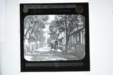 Street View Colombo Sri Lanka Bullock Cart WH Cooper Lantern Slide c1890s picture