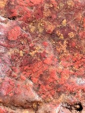 Myrickite Jasper Agate Cinnabar Guadalupe Old Stock 3 Pounds Rare  picture