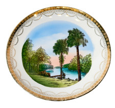 DAYTONA Tomoka River FL FLORIDA Antique Souvenir China Dish Plate picture