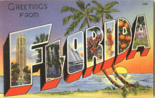 Greetings From Florida Tichnor Large Letter Linen Postcard Vintage Post Card picture