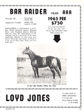 Bar Raider AAA Perry OK Lloyd Jones Quarter Horse Stud 1964 Magazine Print Ad picture