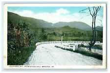 1911 Elephant Mount from Stony Hill, Bristol Vermont VT Antique Postcard picture