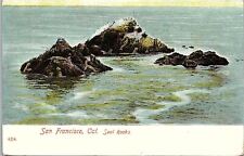 1907 SAN FRANCISCO CALIFORNIA SEAL ROCKS EARLY POSTCARD 42-66 picture