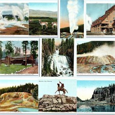 x10 LOT c1920s Yellowstone National Park Haynes Postcard Norris Geyser Antelope picture