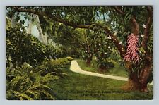 Fort Myers FL-Florida, Orchid Lane, Thomas Edison Winter Home, Vintage Postcard picture