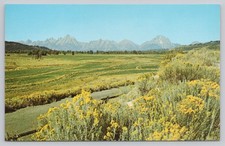 Grand Teton Range Wyoming Scenic View Plastichrome Postcard picture