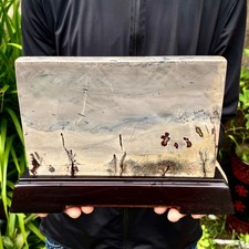 4.07LB Beautiful Natural Chinese Dendritic Limestone Picture Stone Guohua-Rare picture