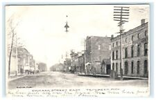 1908 Tecumseh MI Michigan Chicago Street East View picture