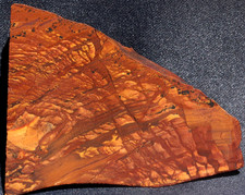 C406  ~   2.4oz Partial End Slab Beers Mountain Biggs Scenic Jasper picture