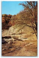 c1950's View Of Ledges State Park Boone Iowa IA Unposted Vintage Postcard picture