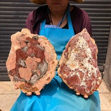 7.34LB 2pcs Natural Petrified Wood Crystal Fossil Slice Shape Specimen Healing picture