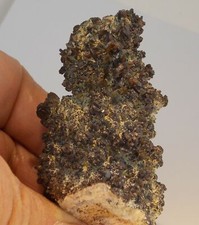 PYROMORPHITE and DESCLOIZITE CRYSTALS - 7.3  - TSUMEB MINE, NAMIBIA 25650 picture
