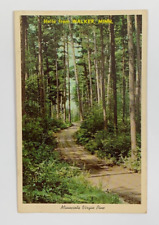 Hello from Walker Minnesota Scenic Trail Through Minnesota Virgin Pine Postcard picture