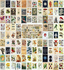 100 PCS Vintage Botanical Postcards 4x6 Aesthetic Retro Art Card Set picture