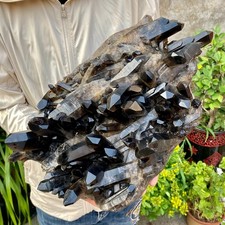 26.45LB Large Natural Smoky Black Quartz Cluster Crystal raw Specimen Healing picture