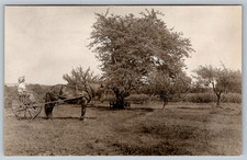 RPPC c1910s Farmer Operating Horse Drawn Dump Hay Rake Postcard picture