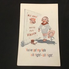 1912 Woman's Suffrage Votes For Wimmen You Got My Vote Postcard picture