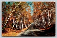 c1980 Rural Highway Greetings From Broadus Montana P62A picture