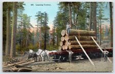 Postcard Loading Timber Lumber Scene Railroad Horses Workers Unposted picture