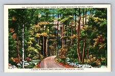 Staunton VA-Virginia, George Washington National Forest Antique Vintage Postcard picture