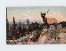 Postcard The Two Sentinels Mt. Rainier Washington USA picture