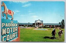 Postcard Manning South Carolina The Paddock Motor Ct Restaurant Horses A24 picture