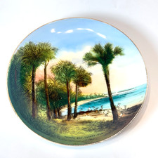 LAKE WALES Mountain Lake  FL FLORIDA Antique Souvenir China Dish Plate picture