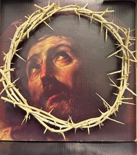2 PCS Crowns Jesus Thorns Hand Made authentic Original plant Jerusalem Holy Land picture