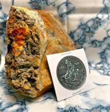 Bessie G Mine Colorado Gold Telluride Ore Specimen – XRF picture