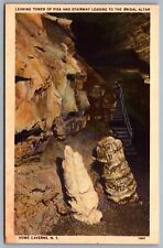 Postcard Cobleskill NY c1940s Leaning Tower of Pisa & Stairway Howe Caverns picture