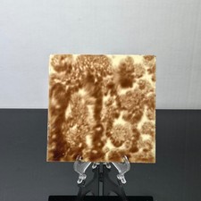Antique Cambridge Art Tile Works 6