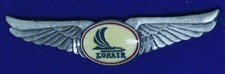 LORAIR Airlines Arizona Aviation Unit Airline Pilot Wing PW picture