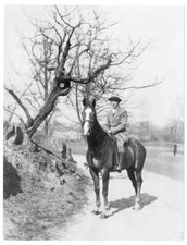 Actor Roland Young in suit and hat on horseback in a park 1916 Old Photo picture