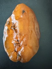 190g Natural Raw Baltic Amber Rare Honey Orange Specimen Collector Piece picture
