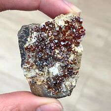 VANADINITE Crystal Cluster on matrix from Mexico picture