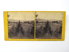 Newbury Vermont Valley of Connecticut Town View Stereoview c1890 Albumen Print picture