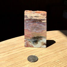 Natural Rough Plume Agate Crystal Rock Slice Mauve Red & Gray Fine Line Banding picture