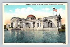 Chicago IL-Illinois, Old Field Museum Of Natural History, Vintage Postcard picture