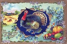 THANKSGIVING - Turkey, Flowers and Field Thanksgiving Greetings Postcard picture