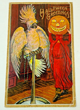 VINTAGE 1913 Halloween Postcard Bamberger Parrot Scary Jack O' Lantern Colorful picture