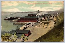 eStampsNet - View of Water Front Everett WA 1910 Postcard picture