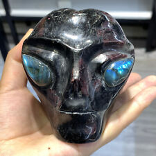 1155g Natural garnet hand carved skull quartz crystal Reiki healing gift picture