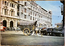 Ceylon Colombo, Bullock Cart Vintage Color Photo Postcard, Unposted Card picture