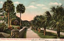 Postcard FL Daytona South Beach Street Palmetto Row 1907 Vintage PC H7357 picture